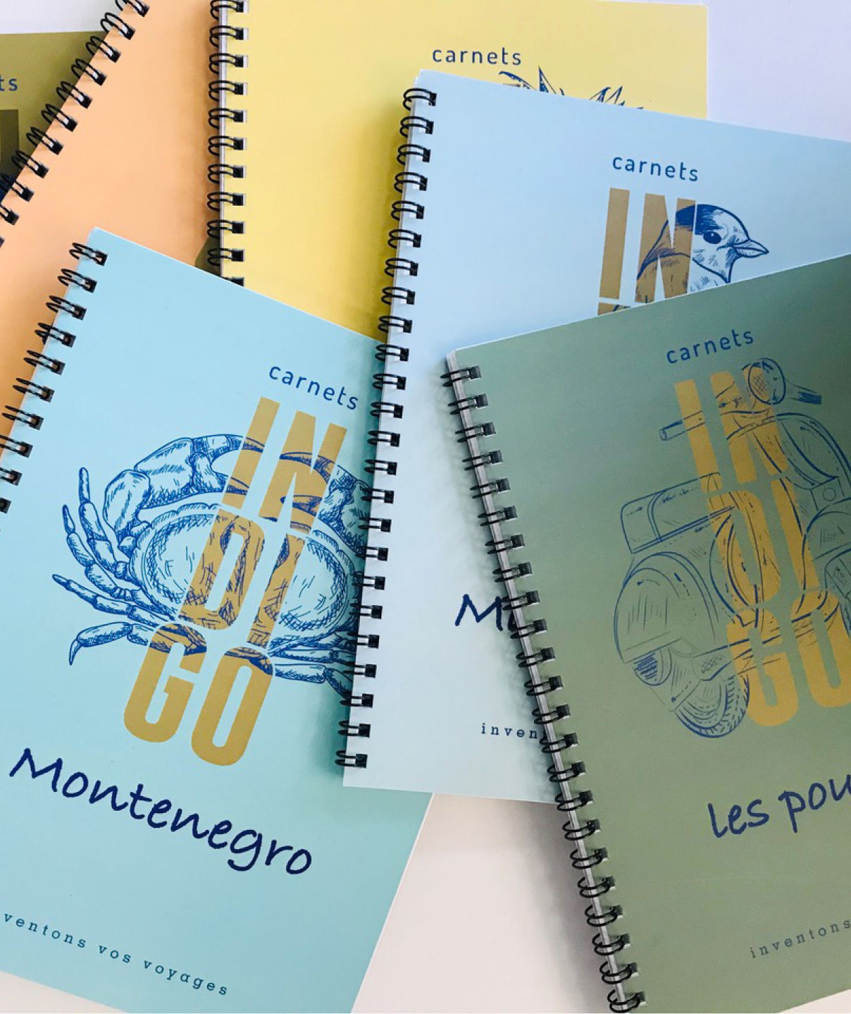 Carnets Indigo